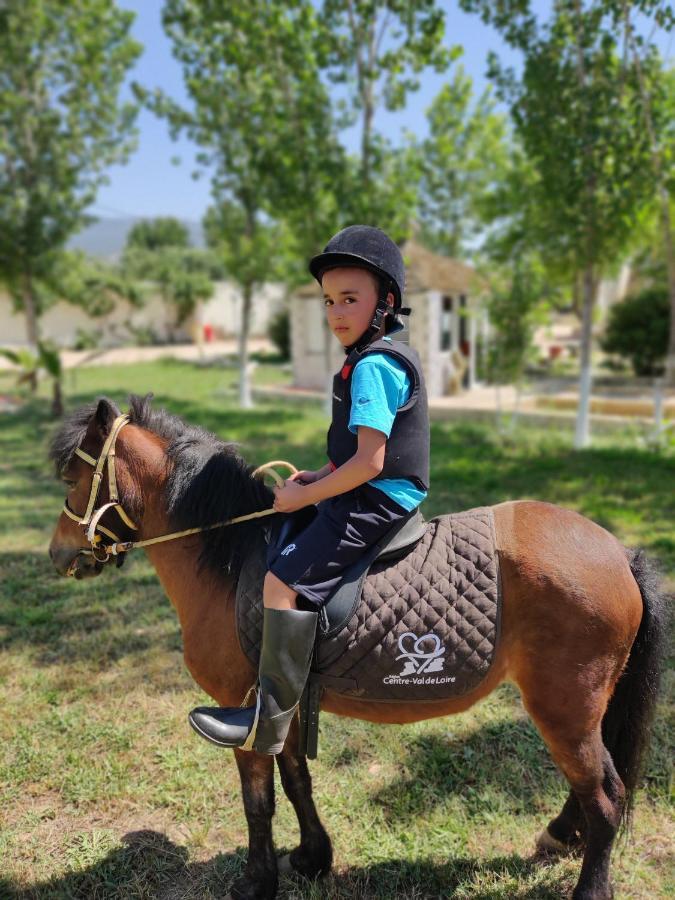 Le Vallon Vert - Club Equestre Azrou Zewnętrze zdjęcie