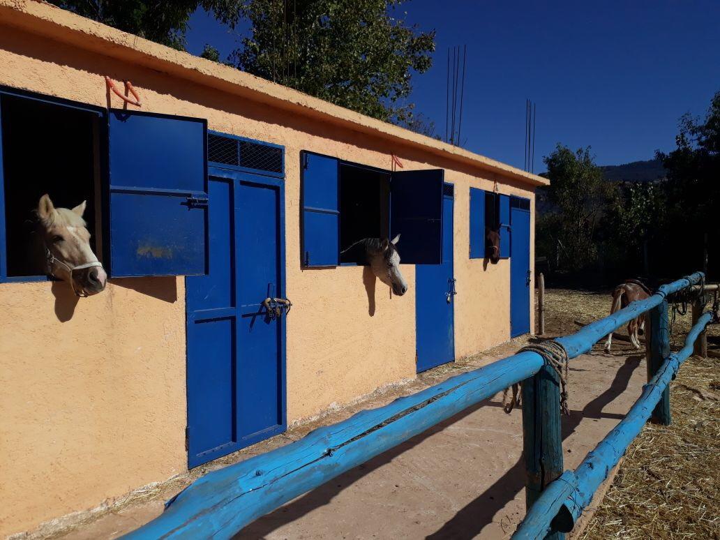 Le Vallon Vert - Club Equestre Azrou Zewnętrze zdjęcie
